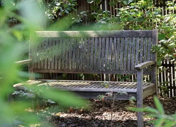 Teak-Holzbank im Garten des naturnahen Lebensraums